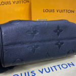 Louis Vuitton Favorite Black